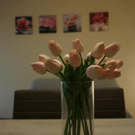 Scappo In Umbria, La Casa Di Giuliana