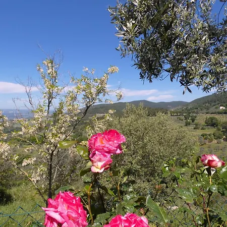 Feriehus Scappo In Umbria, La Casa Di Giuliana